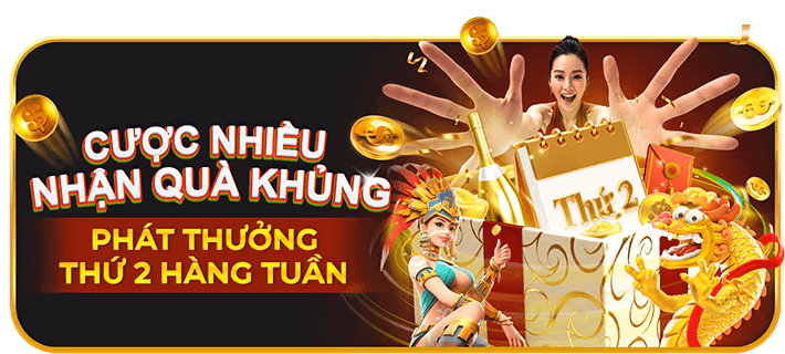 Hình ảnh đánh giá chi tiết Saobet, nền tảng đá gà uy tín hàng đầu với nhiều ưu đãi hấp dẫn