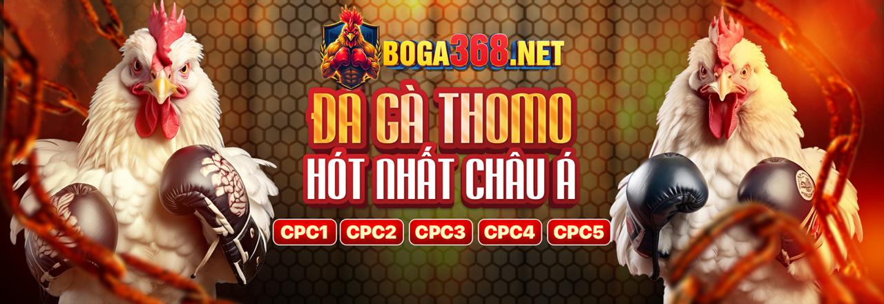 Đánh giá chi tiết iwin Club - Trang đá gà uy tín nhất
