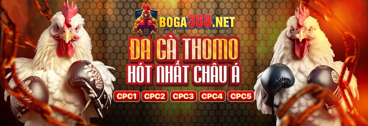 Đánh giá chi tiết iwin Club - Trang đá gà uy tín nhất